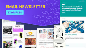 Best Newsletter Examples